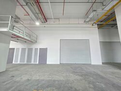 Ct Foodnex (D25), Factory #496456461